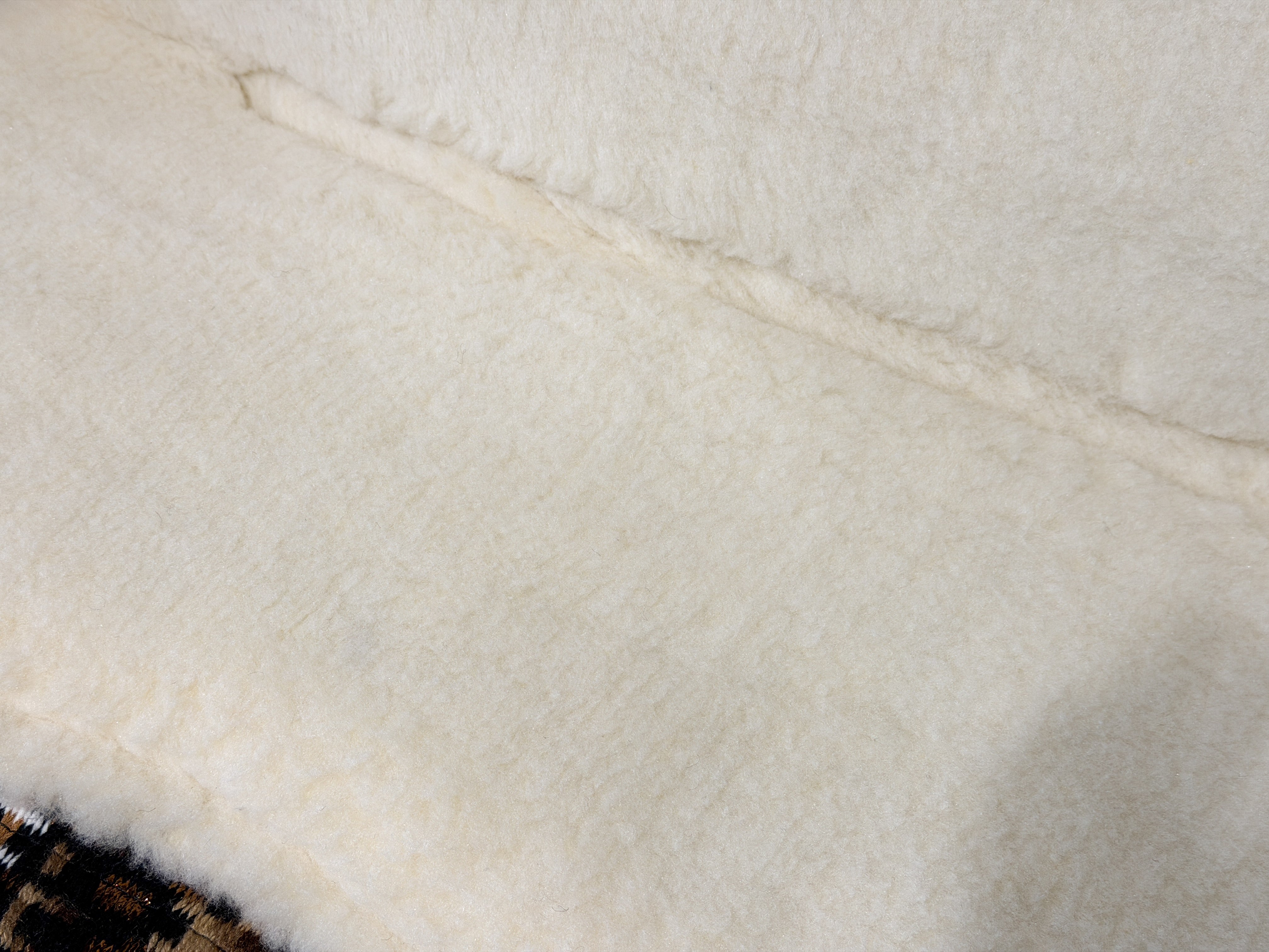 2in1 Show Pad | SHORT | contoured western pad | Sagewood