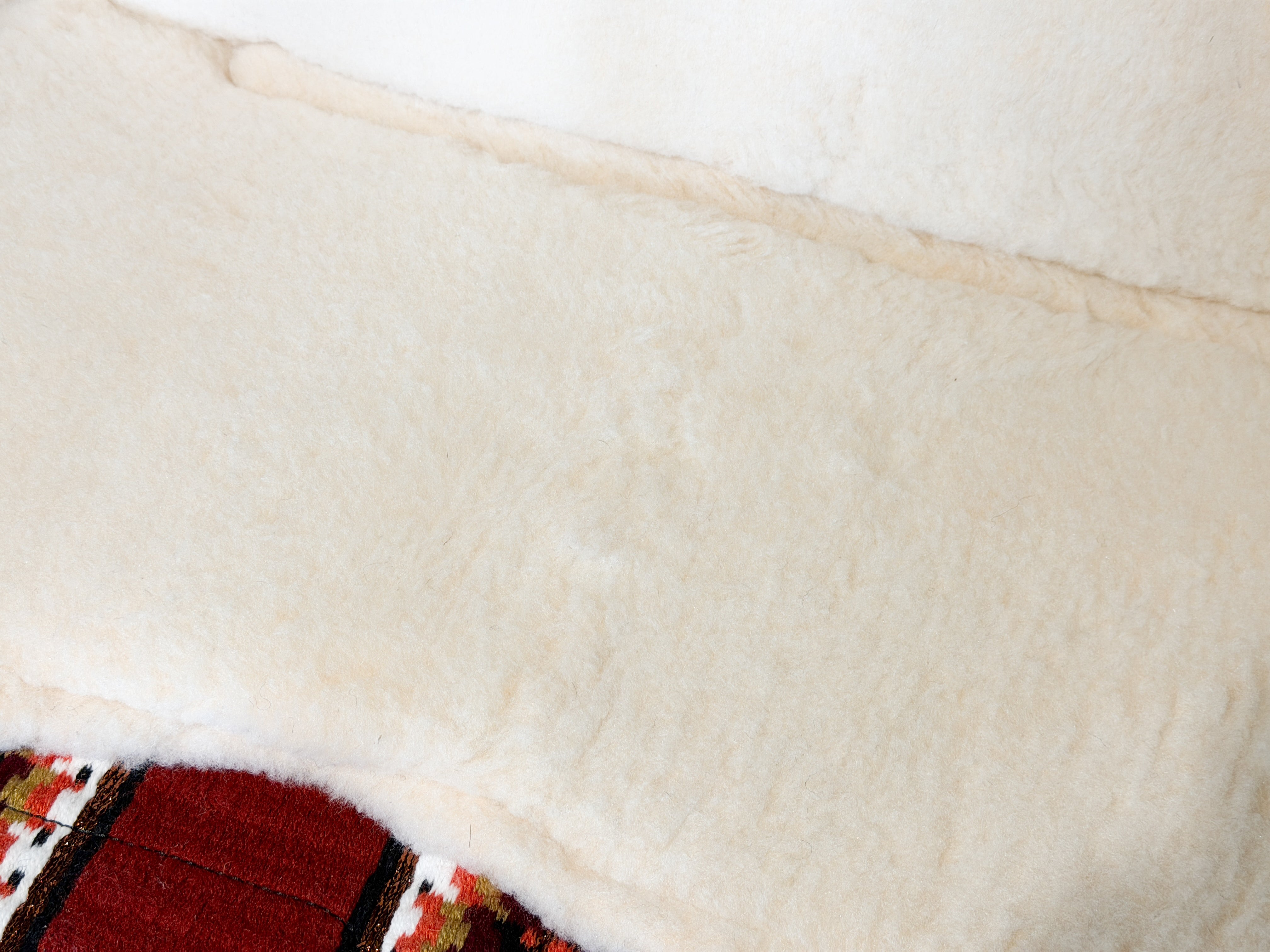 2in1 Show | contoured western pad | Copper Blaze