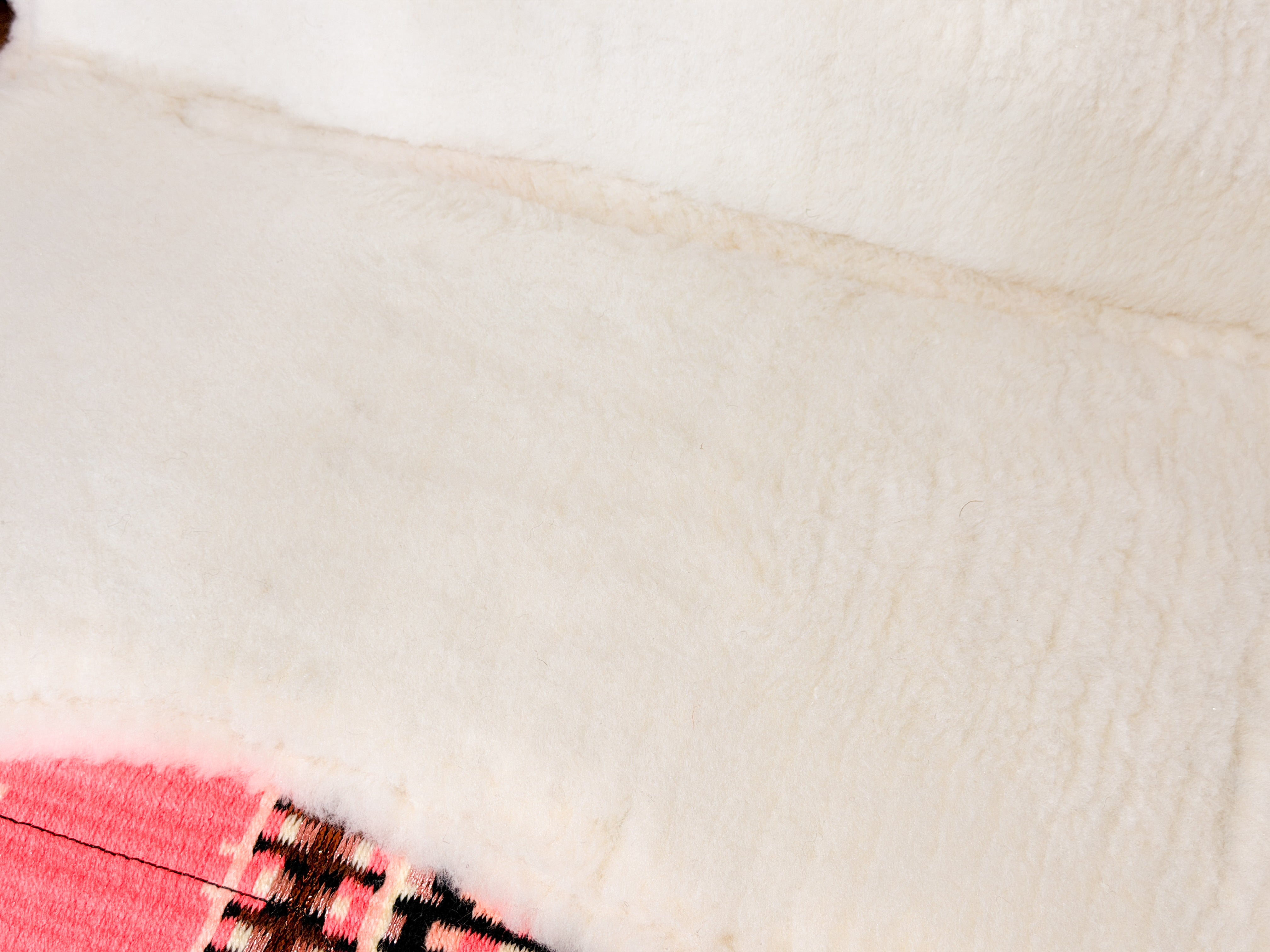 2in1 Show | Performance Western Pad | Sunset Coral