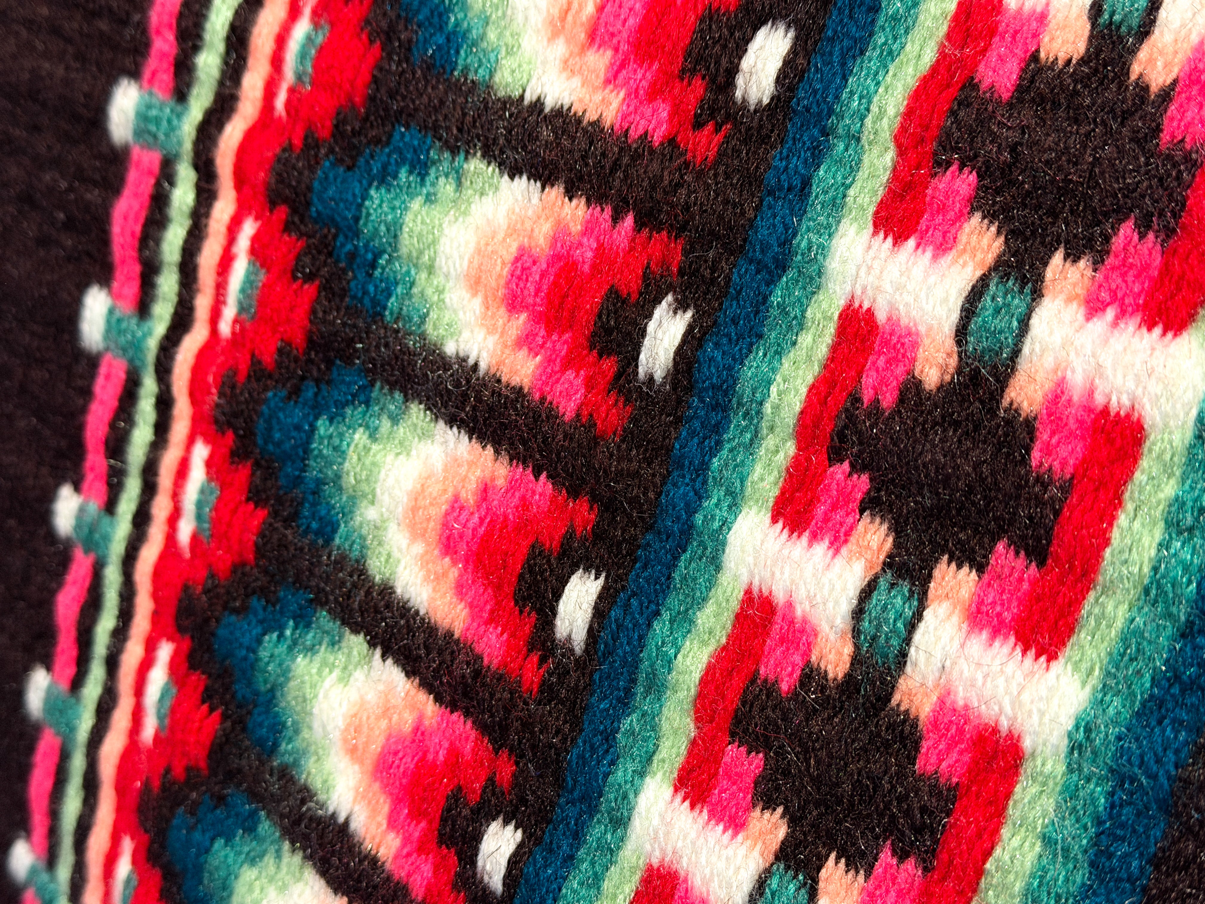 2in1 Show pad | Show Western | Hot Vein