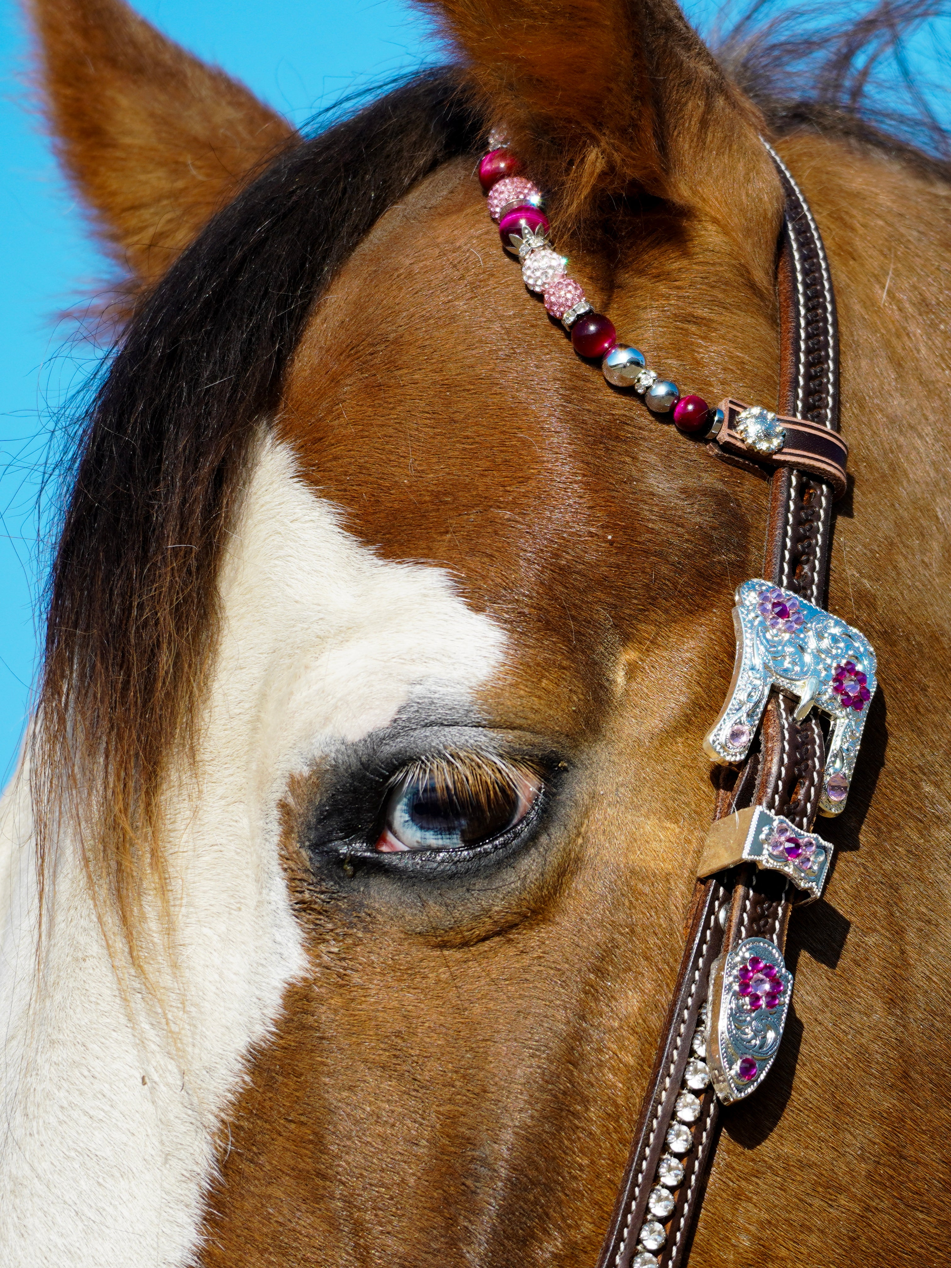 Premium | dark brown floral western  hoofdstel | Silver & pink