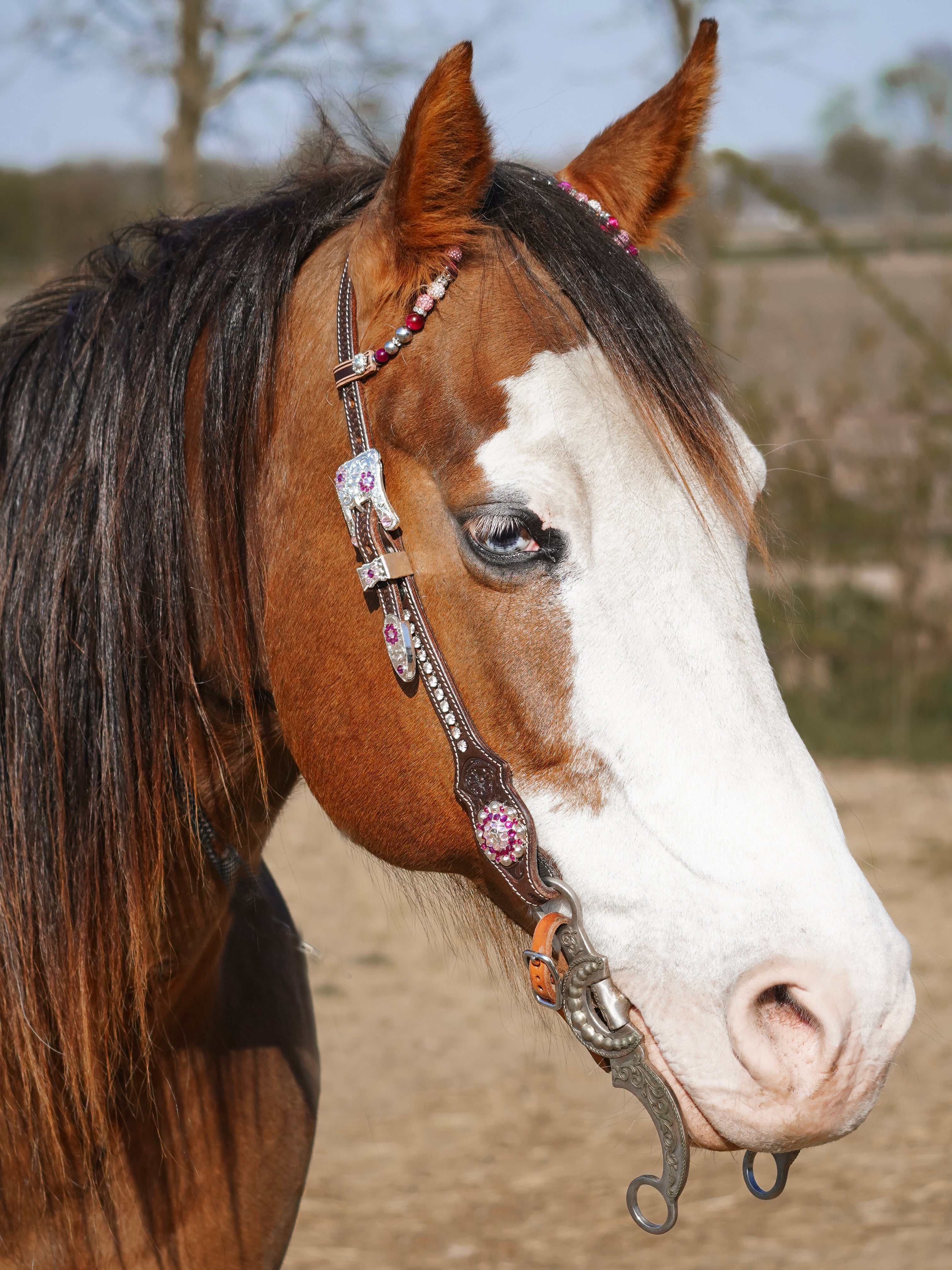 Premium | dark brown floral western  hoofdstel | Silver & pink