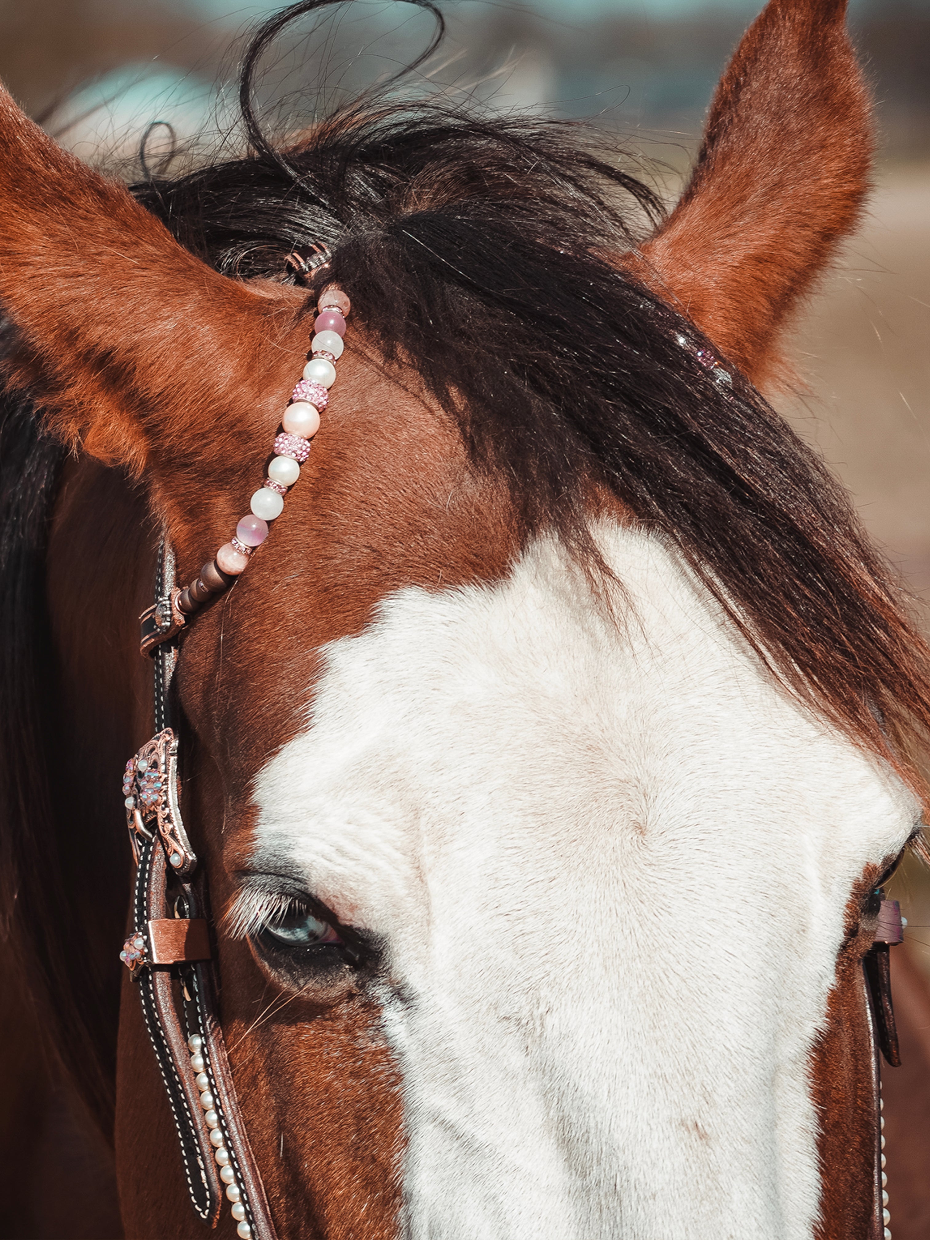 Premium | Dark Chestnut western Hoofdstel | Pink & Swarovski pearls